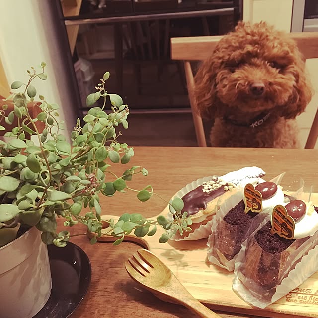 aaaairiさんの実例写真