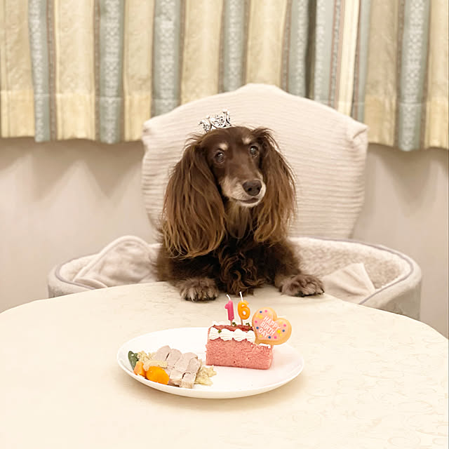 choco-curiさんの実例写真