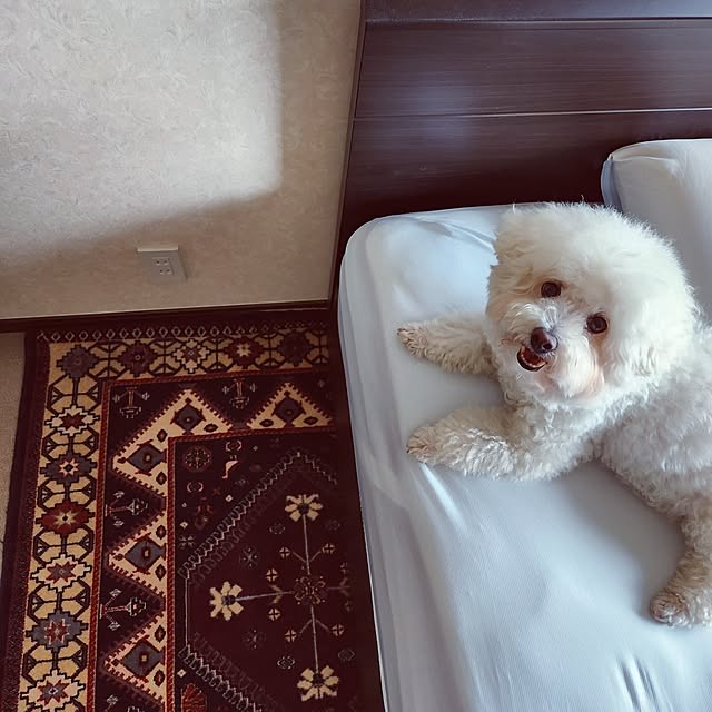 takoさんの実例写真