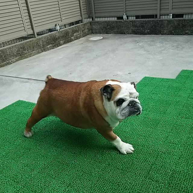 AandPさんの実例写真