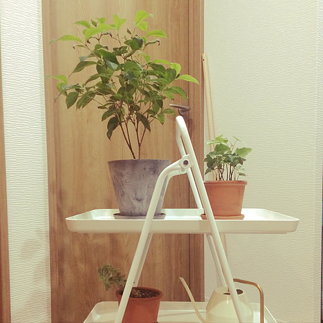 pique-niqueさんの実例写真