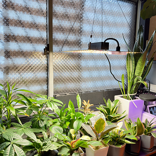 Takashiさんの実例写真