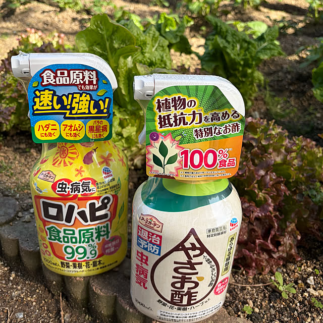 applepieさんの実例写真