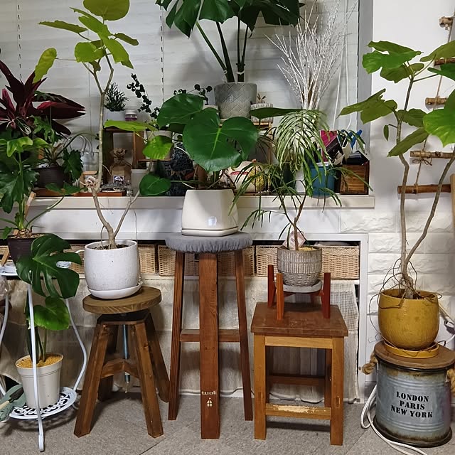 tomomiさんの実例写真