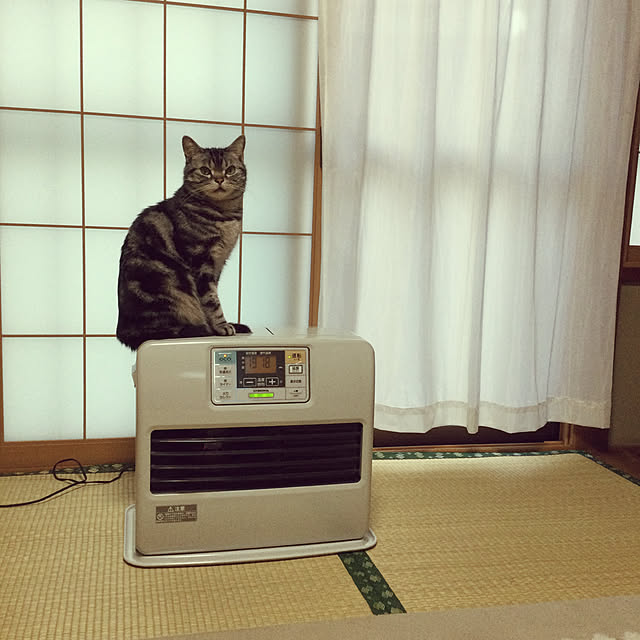 richanさんの実例写真