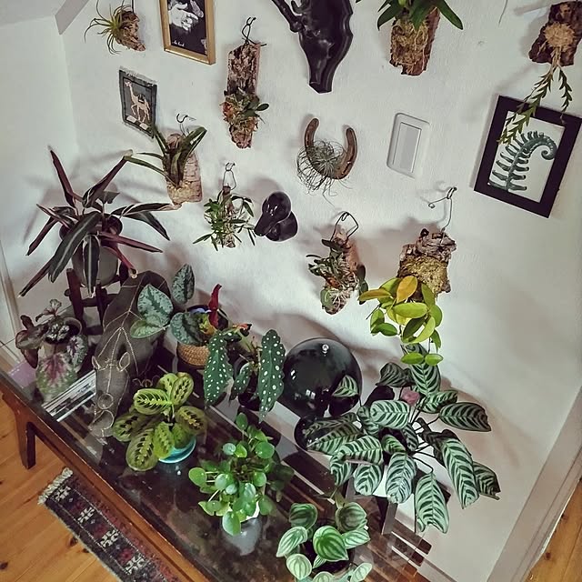 rieさんの部屋