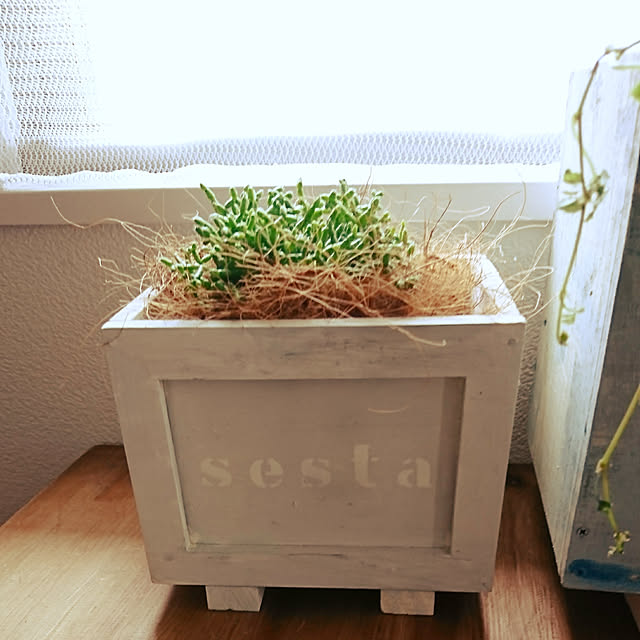 部屋全体のインテリア実例 - 2017-11-24 09:04:14