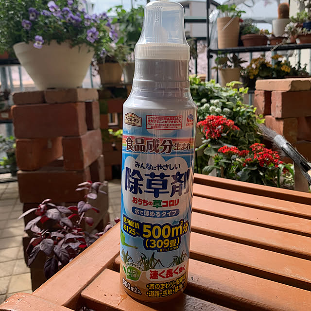 Aqettyさんの部屋
