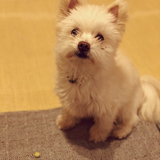 bonさんの実例写真