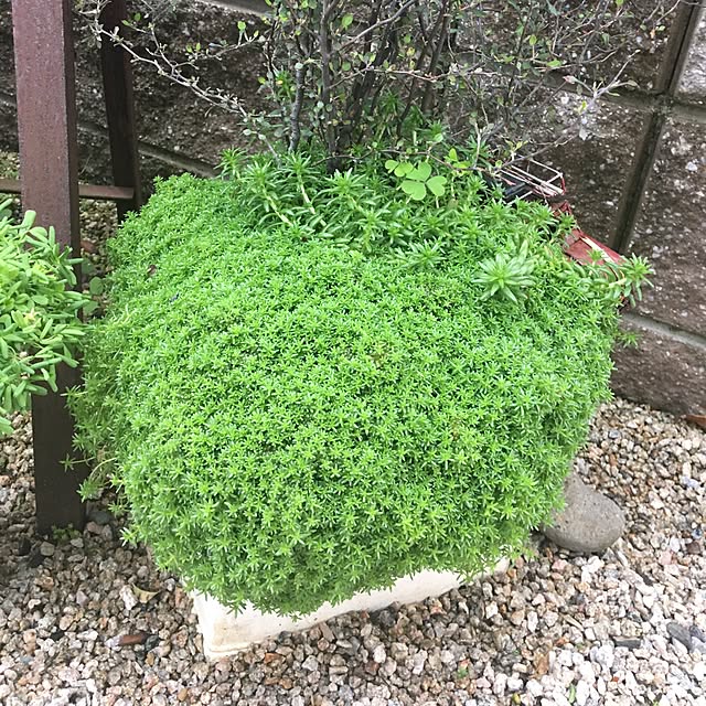 sanw2225719さんの実例写真