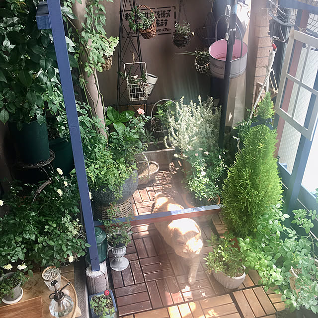 naokoさんの部屋