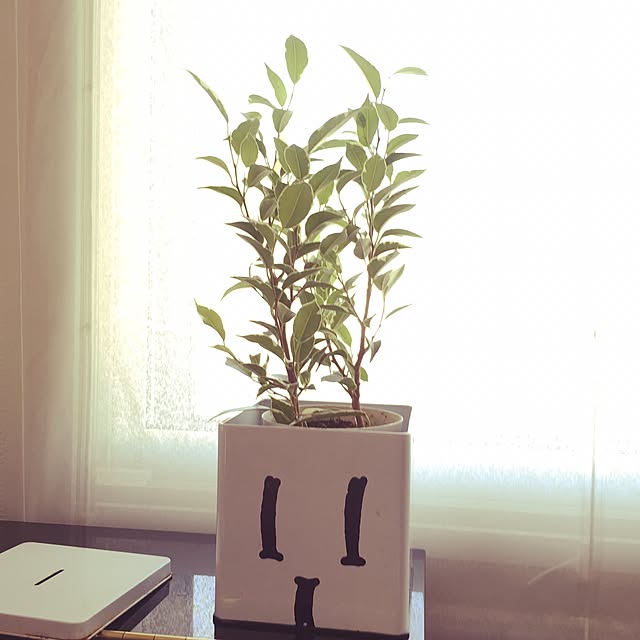 courtoisさんの実例写真