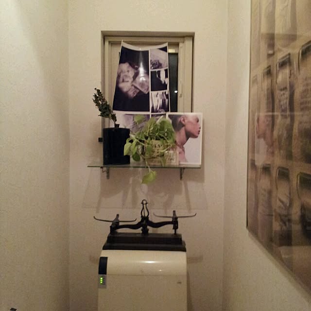 hotaruさんの実例写真