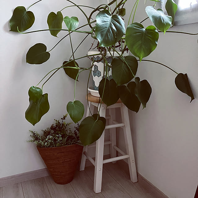 m0917mさんの実例写真