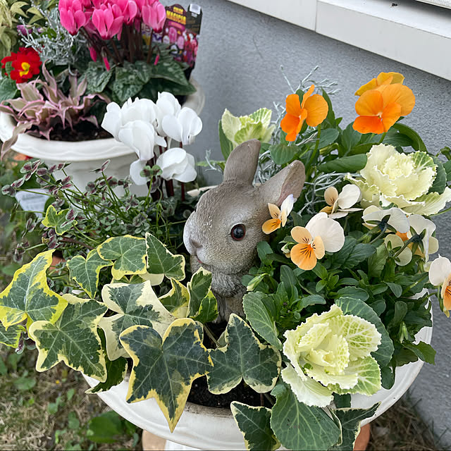 emikoさんの実例写真