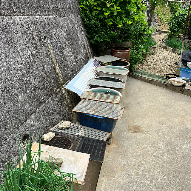 koshiregutyoさんの部屋