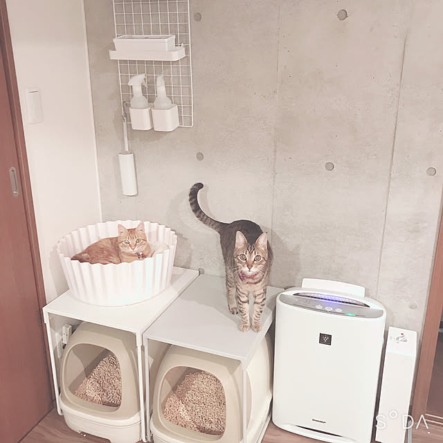Hotateさんの実例写真