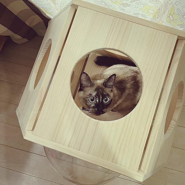 yu-iさんの部屋