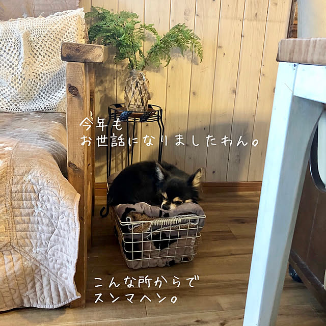 yokochinさんの実例写真
