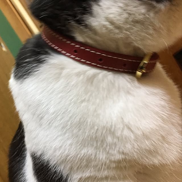 kmakkyiさんの実例写真