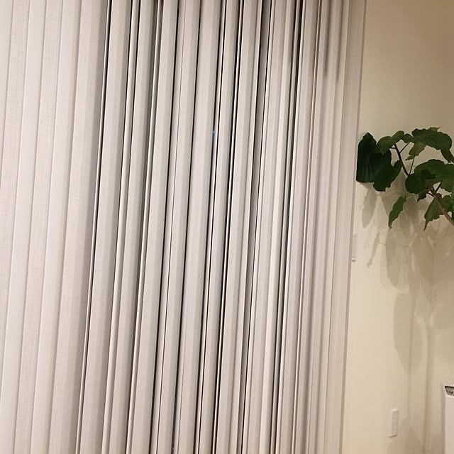 skoさんの実例写真