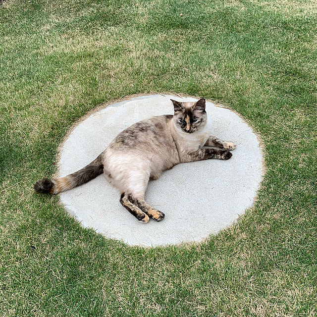 miyaさんの実例写真