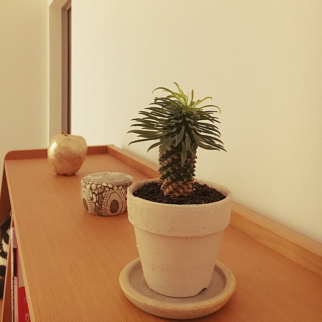 Y1178さんの実例写真