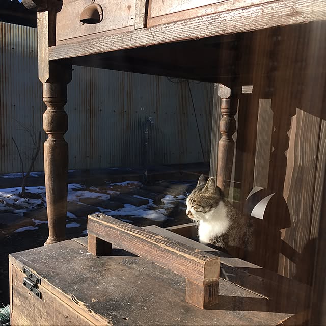 yuki.ni_tsuさんの実例写真