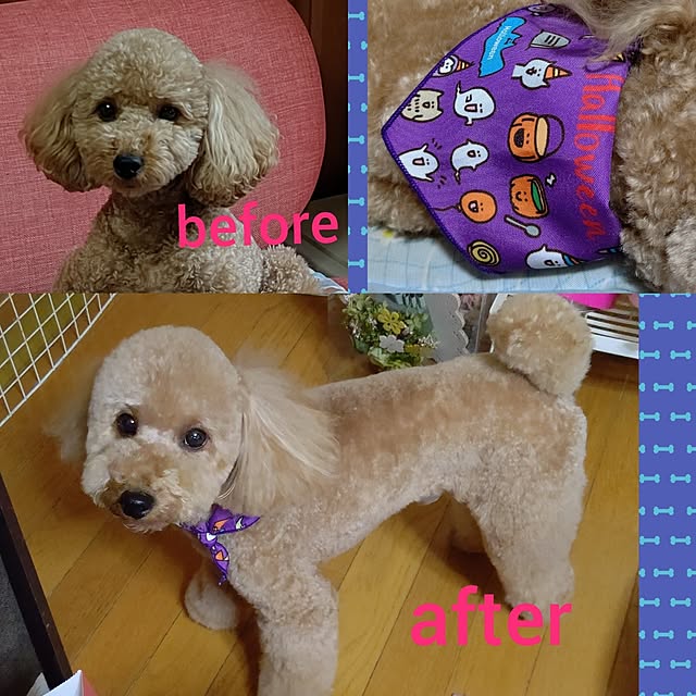 yumirinさんの部屋