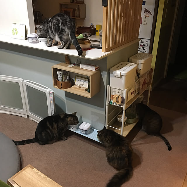 mikomaruさんの実例写真
