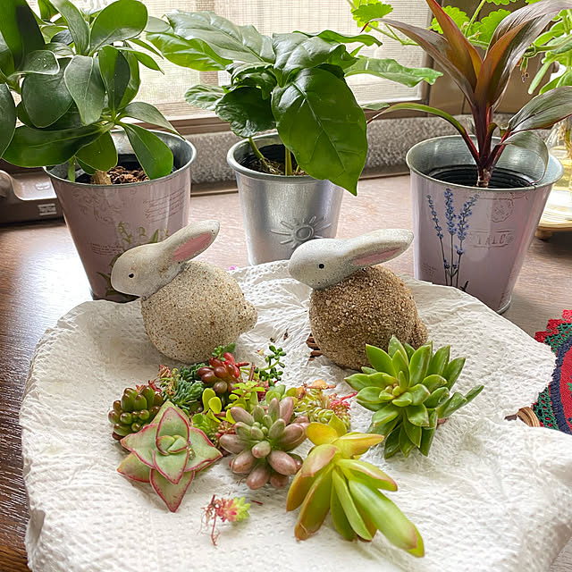 miporinさんの実例写真