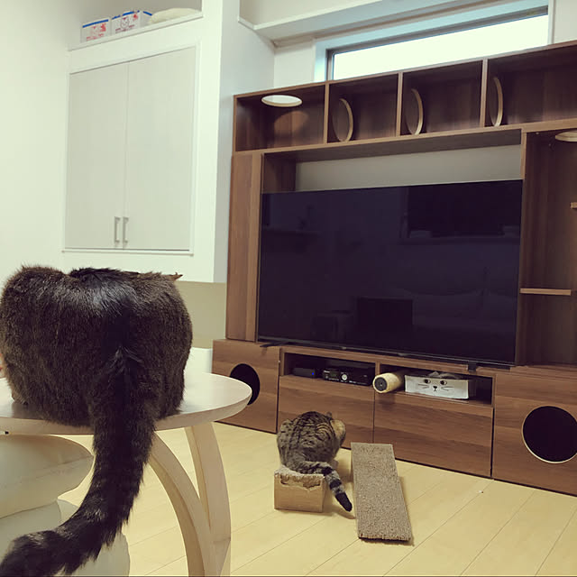 Tomcatさんの実例写真
