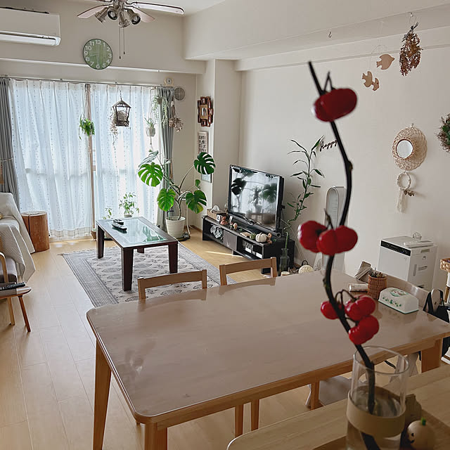 aiaiさんの部屋