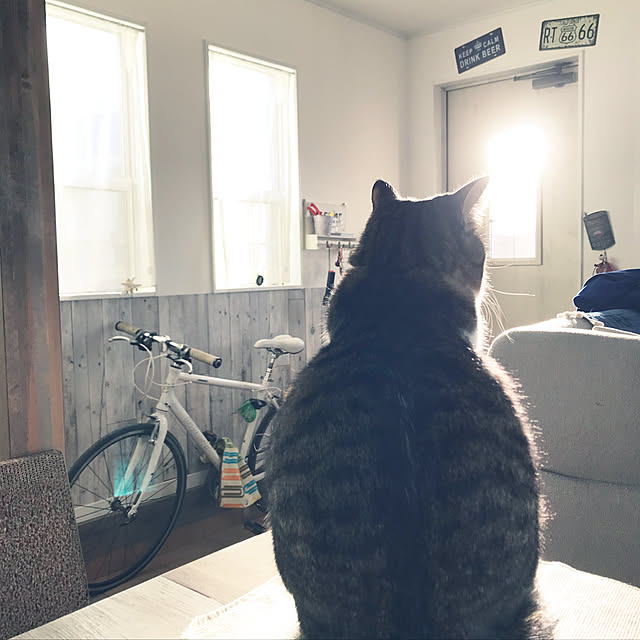 simamuuさんの実例写真