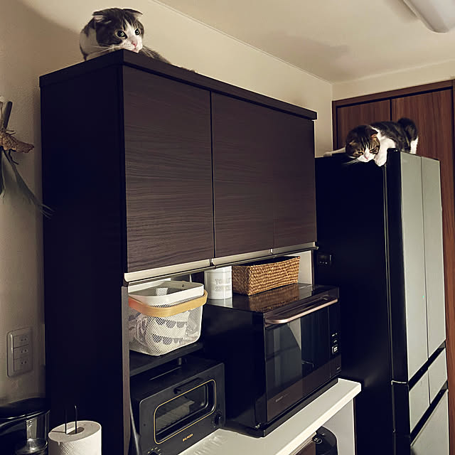 tansukeさんの実例写真