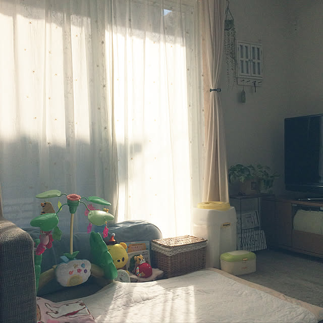 koiseさんの実例写真