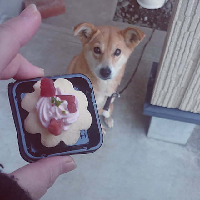 kao.kaoさんの実例写真