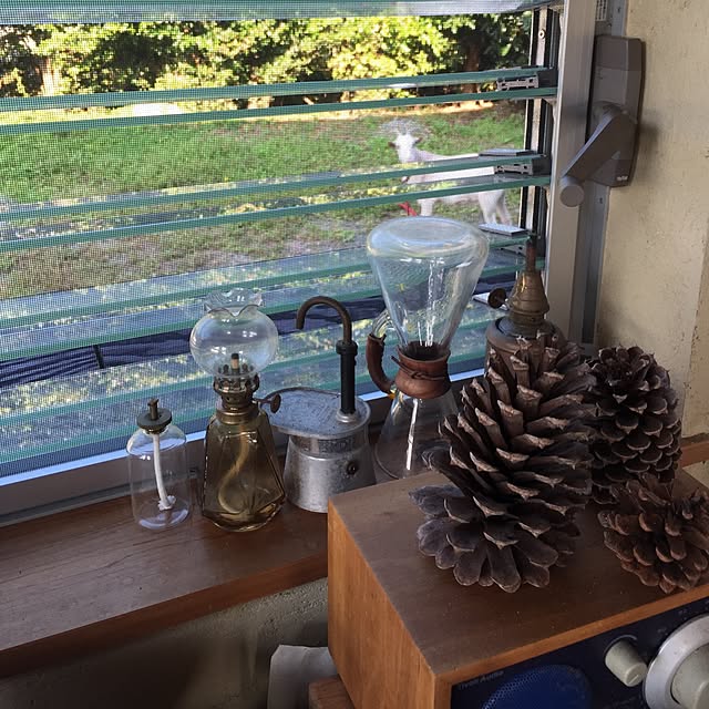 nationalさんの実例写真