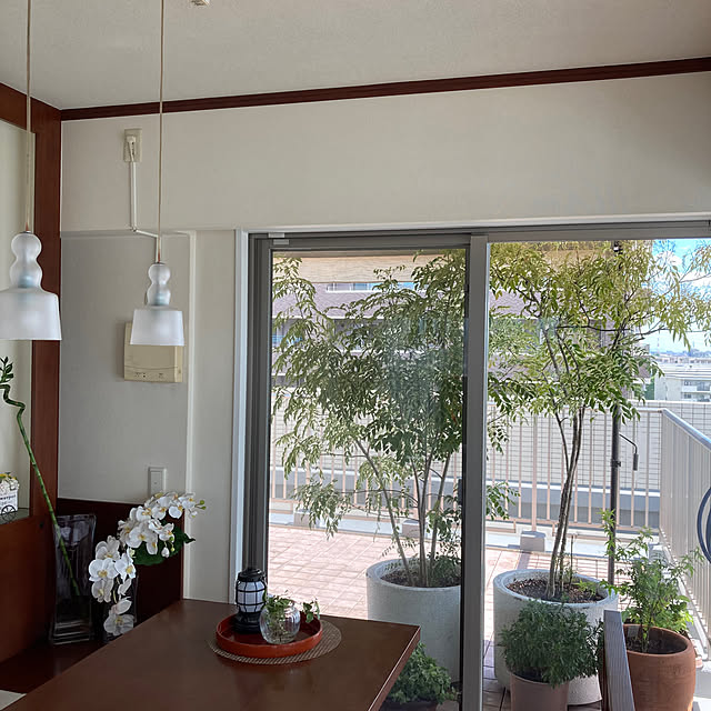 rieponさんの部屋