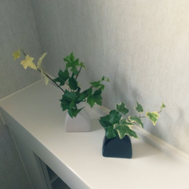 ikt.tamaさんの実例写真