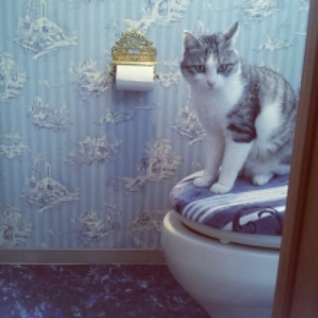emmyyさんの実例写真