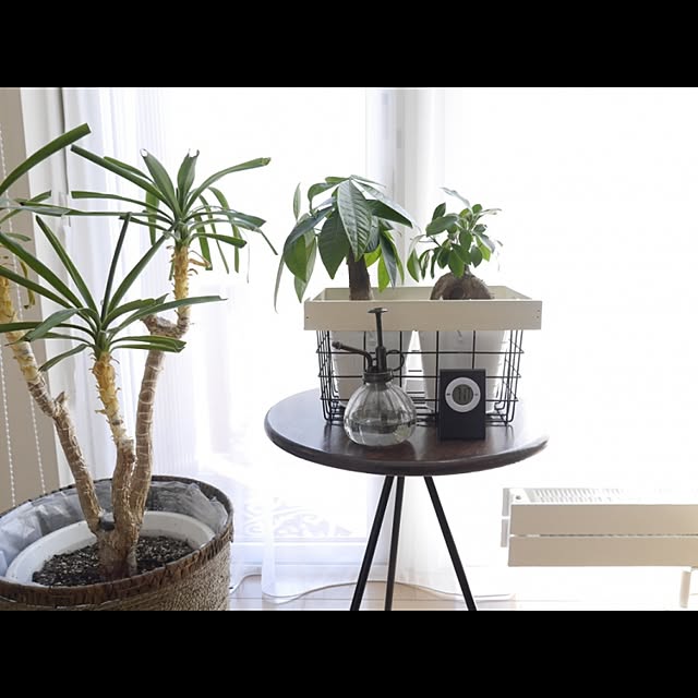emibeiさんの実例写真