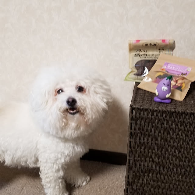 takoさんの実例写真