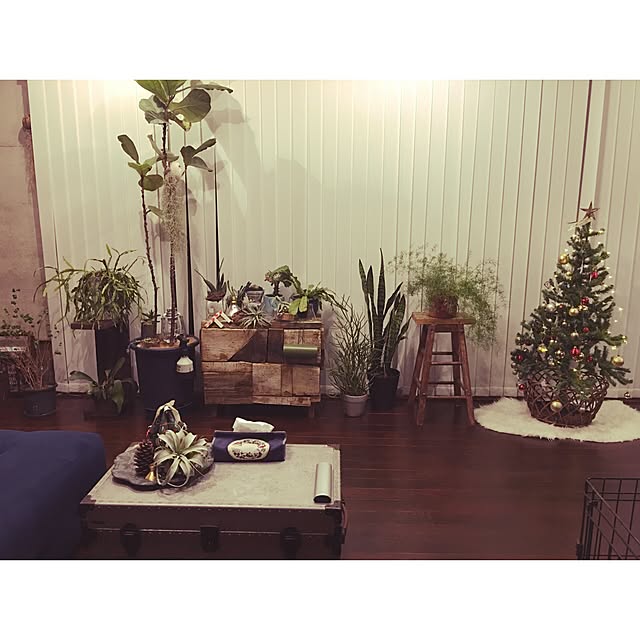 ananya___さんの実例写真