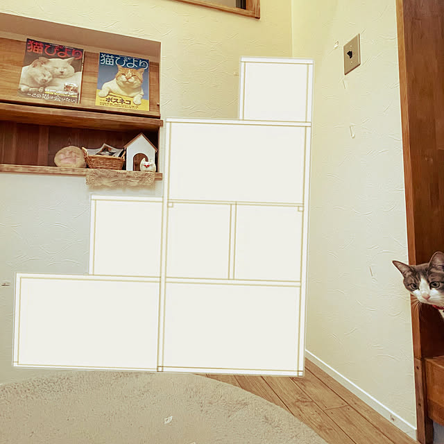 nekosamaさんの部屋