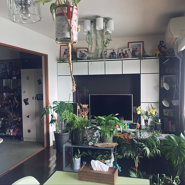 0415さんの実例写真