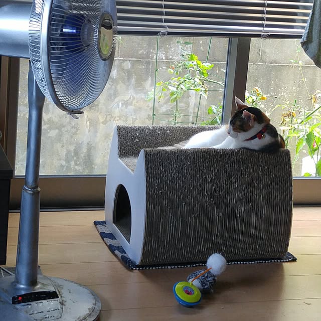 l..tomesanさんの実例写真