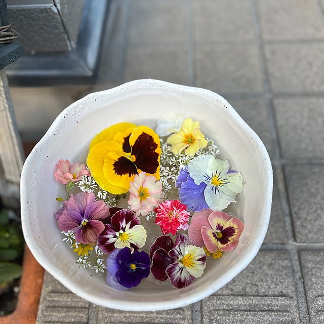 saumiさんの部屋