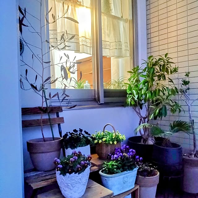 Petit_Pommierさんの実例写真