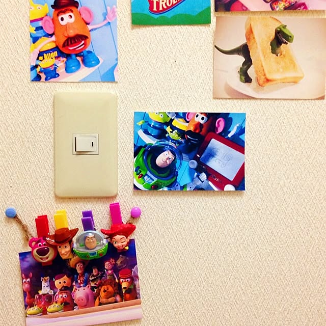 SaRa_Toyさんの実例写真